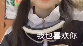 绝世陈逗逗爆料视频全集,揭秘娱乐圈幕后真相  第2张